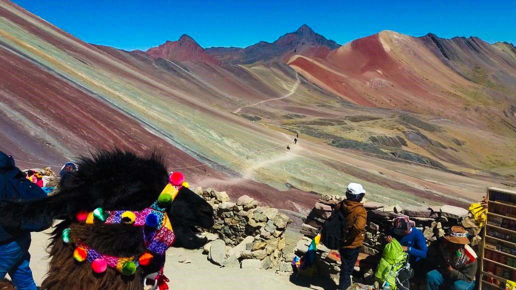 Llama View From Vinicunca